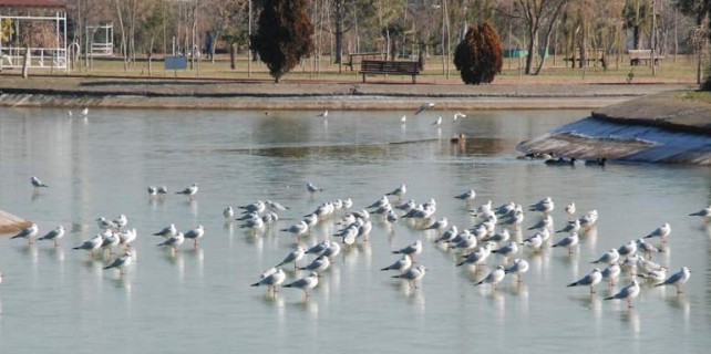 Bursa'da göl dondu