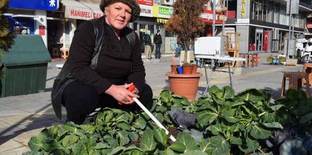 Caddede organik tarım