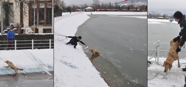Ölmekten son anda kurtarıldı..!