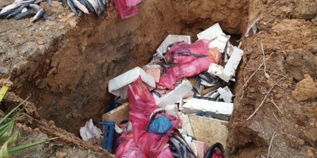 Kedi eti skandalı..!