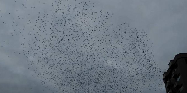 Bursa'da büyüleyen görüntü