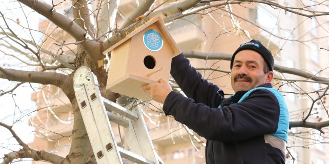 Nilüfer'den kuşlara sıcak yuva