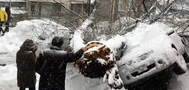 Yoğun kar asırlık ağacı yıktı, araçlar pert oldu