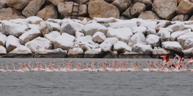 Bursa'da yüzlercesi oraya akın etti...
