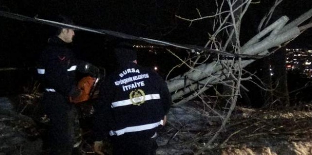 Fırtına ağaçları söktü, çatıları uçurdu