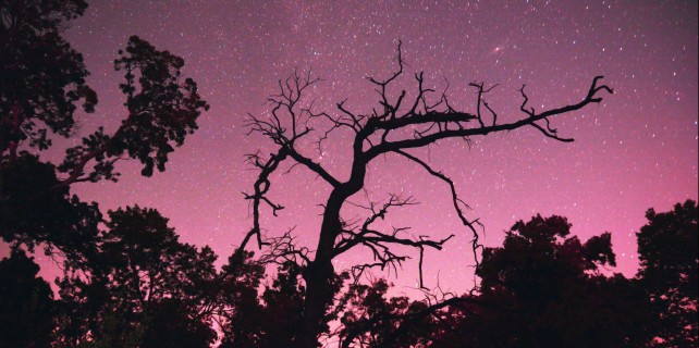 Bursalılar dikkat...