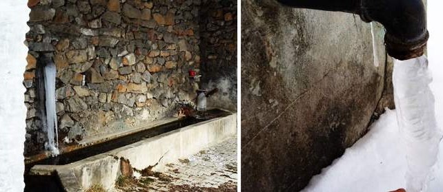 Bursa'da görenleri şaşırtıyor