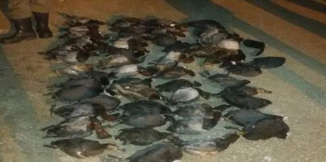 Bursa'da vicdansızlara baskın...