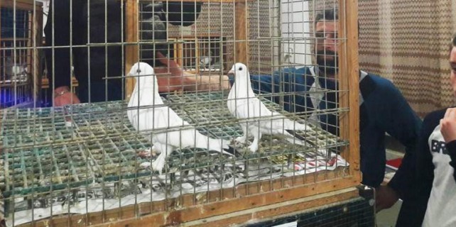 Servet değerinde satıldı...Sadece Bursa'da var