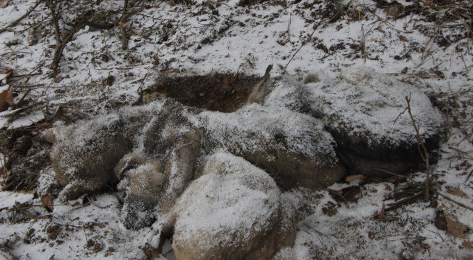 Bursa'da yürek burkan ölüm