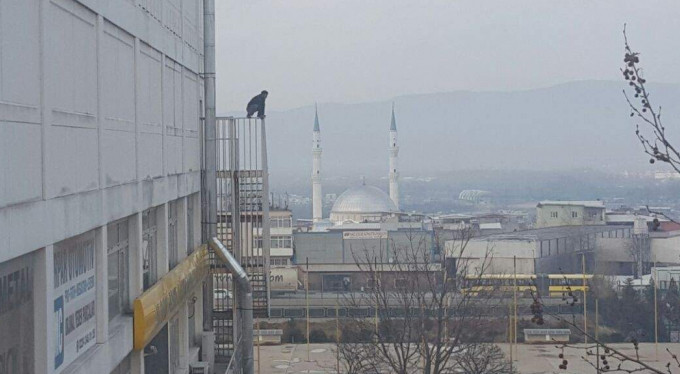 Onu görenler gözlerine inanamadı