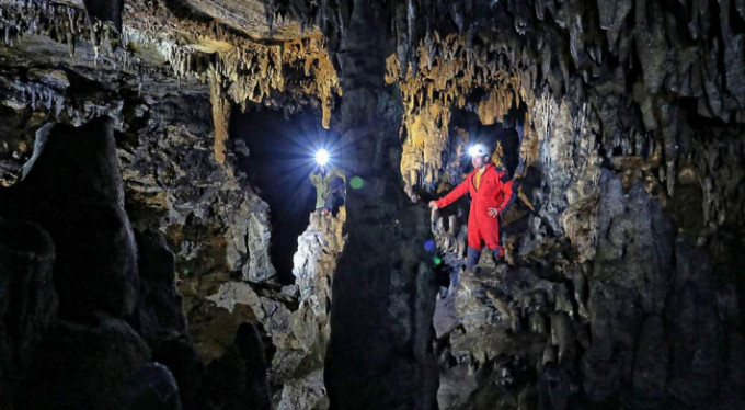 Defineciler bilim adamlarından hızlı çıktı