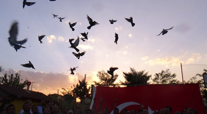 Bursa'da güvercin festivali başlıyor!