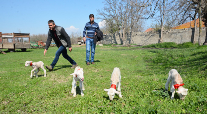 Bursa'da gözlerine inanamadılar