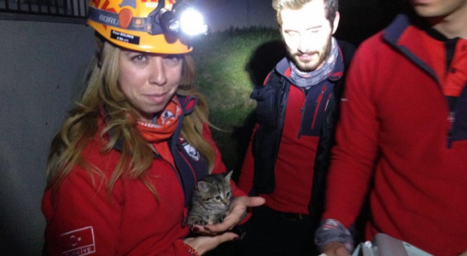 Bursa'da gece yarısı yavru kedi operasyonu