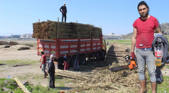 Suriye'de öğretmendi, Türkiye'de...