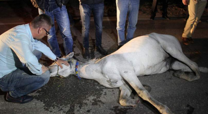 Saatlerce başında böyle bekledi