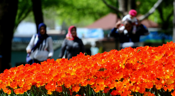 Bursa'da lale devri
