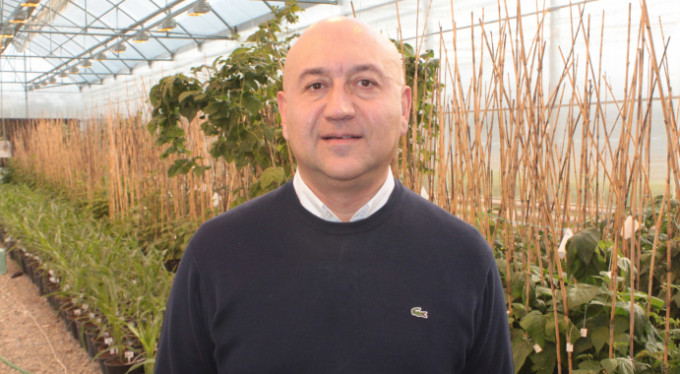 Tohum sektörünün lideri Bursa'dan