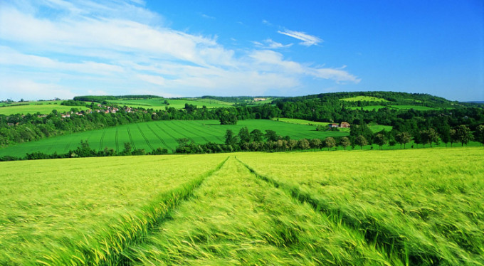 Bursa'ya yeşil alan müjdesi!