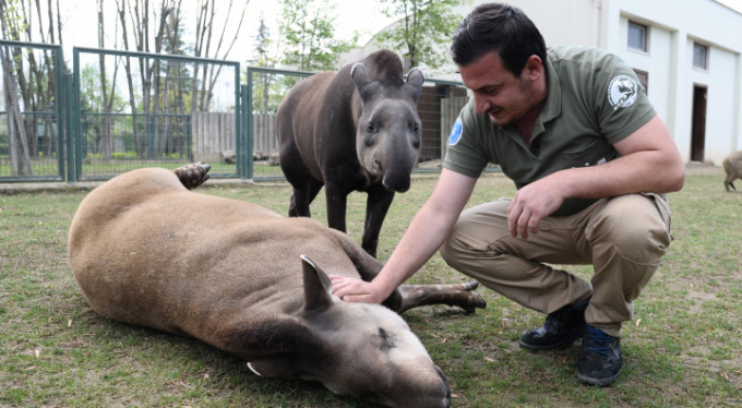 Huzuru Bursa'da buldular...