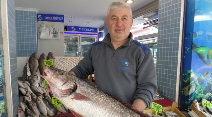 Bursa'da kilosu tam 50 lira!