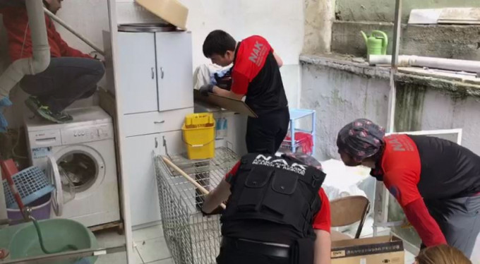 Bursa'da çakal seferberliği