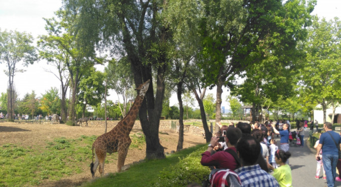 Bursa'da herkes oraya akın ediyor