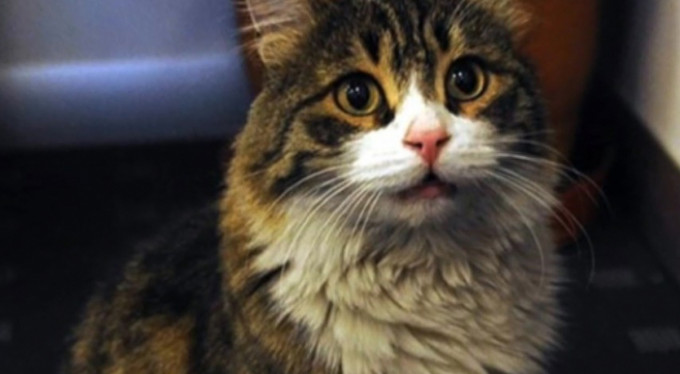 "Şero"dan sesleniş