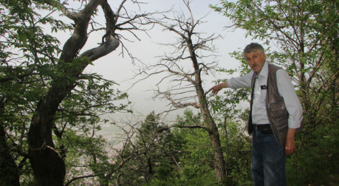 Bursa'da kurutan katillere çare bulunamıyor!