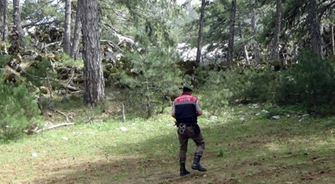 25 milyon TL değerinde kenevir ele geçirildi