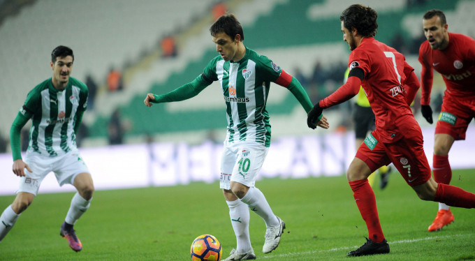 Timsah Antalya'da çıkış arıyor