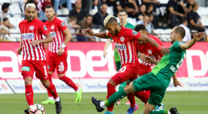 Timsah ateşle oynuyor