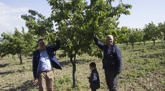 Bursa'da yağan kar çiftçiyi vurdu
