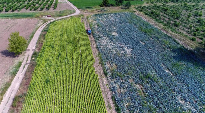 Bursa enginarı altın çağını yaşıyor