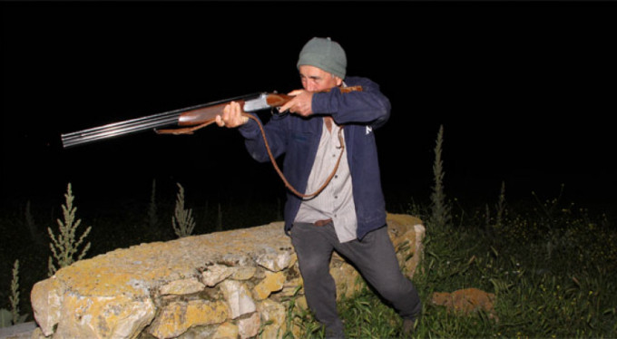 Köpekleri yiyen hayvanı bekliyor