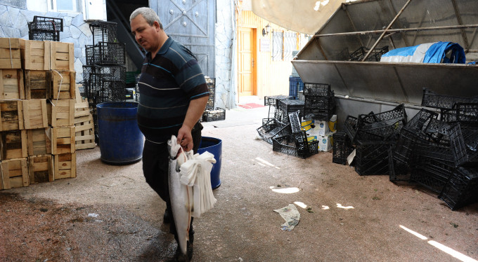 Ramazan ayı onlara yaramadı