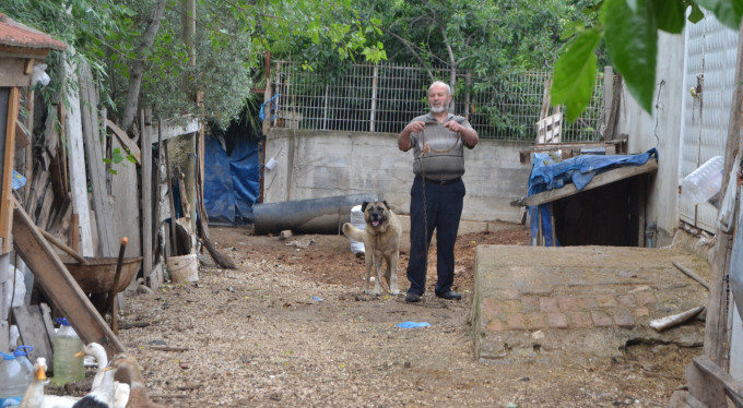 Bursa'da köpek saldırısı! Ölümden döndü