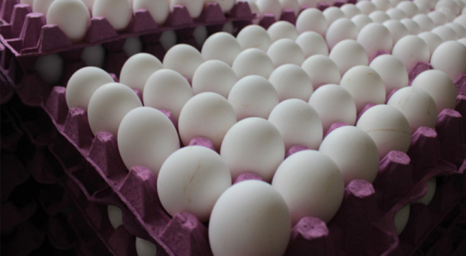 Çocuk gelişimi için: Her gün 1 tane