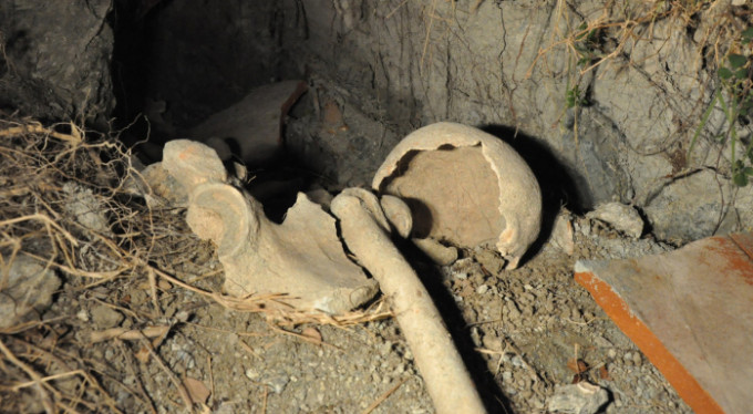 Bursa'da 50 yıllık gizemli kemikler