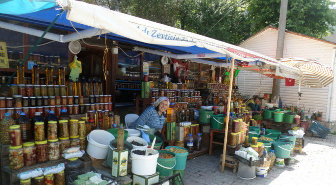 Trilye'deki zeytinlere ilgi büyük