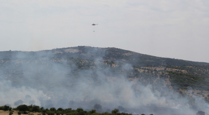 Ormanlık alanda başlayan yangın korkuttu