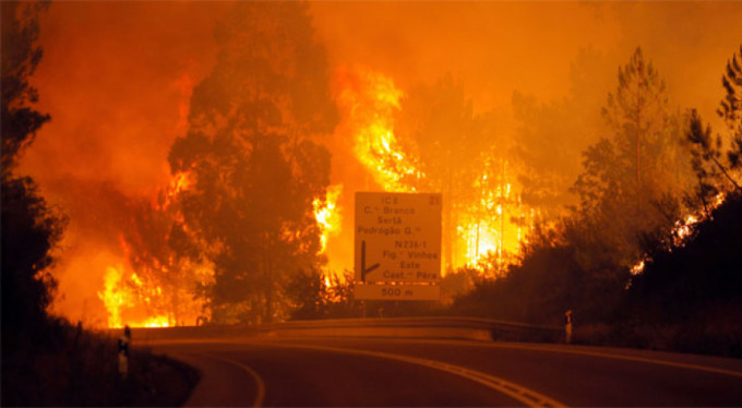 Portekizde büyük facia! 43 ölü