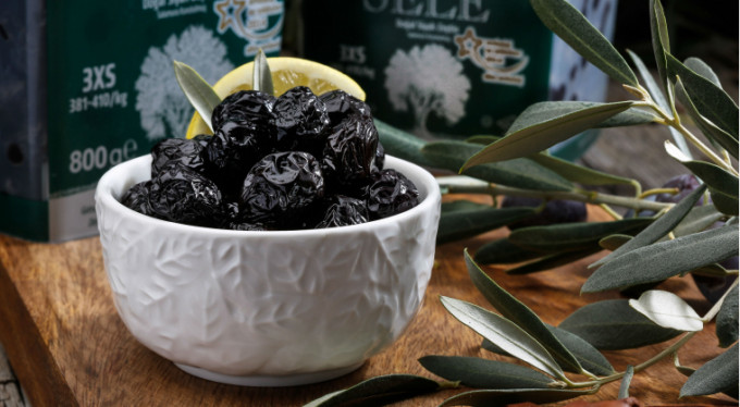 Bursa'nın zeytinlik alanları tahminleri şaşırttı