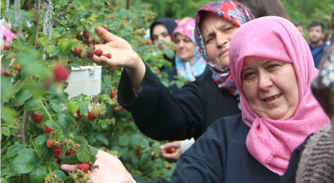 Bursa'da köylü kadınlardan protesto