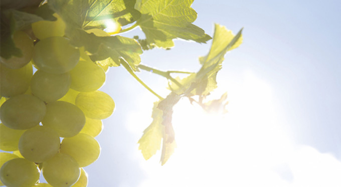 İşte güneşten korunmanın yolları