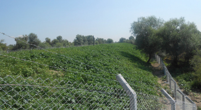 Bursa'da çöplükler yeşil alana dönüşüyor