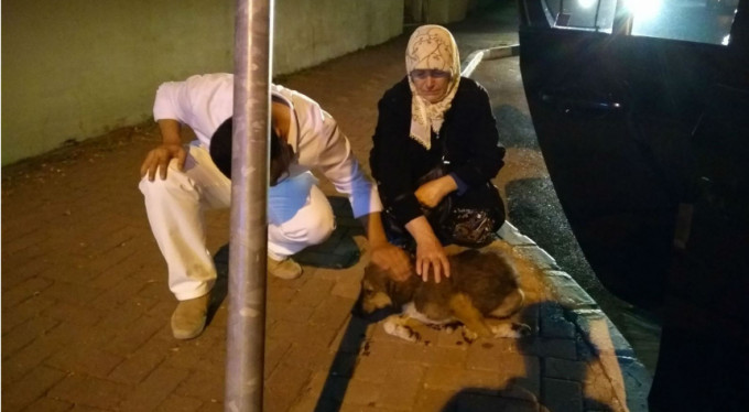 Bursa'da örnek davranış