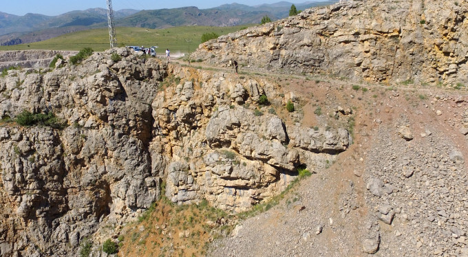 Esrarengiz olay! 30 hayvan...