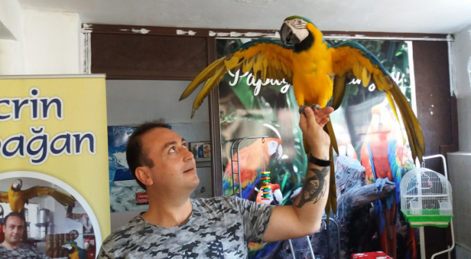 Bursalı papağan terbiyecisi